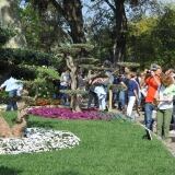 Visitatori Apr visitatori-25-apr-10