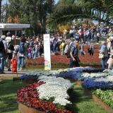 Visitatori Apr visitatori-25-apr-16