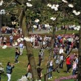 Visitatori Apr visitatori-25-apr-2