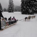 Dsc X dsc9033-1-1024x685