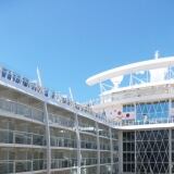 X 20150625-135226-576x1024