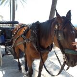 X 20150629-135209-1024x576