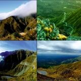 Merlo X merlo-1024x723