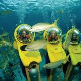 best-of-bahamas-nassau-paradise-island-31