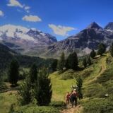 e27a51e9-aa32-4fe5-aac9-054d83eb2d62