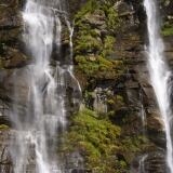 Shutterstock shutterstock-481925869