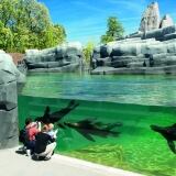 Parigi Parc Zoologique parigi-parc-zoologique2