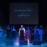 Artemisia artemisia-3