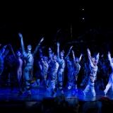 cats-group2-photobyalessandropinna-1024x684