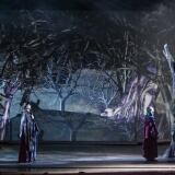 pier-delle-vigne-inferno