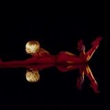 antoinepoupel-upsidedown-nooka