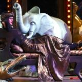 la-vedova-allegra-22