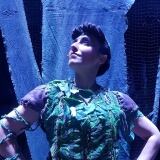 Peter Pan Forever peter-pan-forever