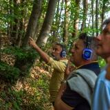 ph-alvise-crovato-alberi-maestri