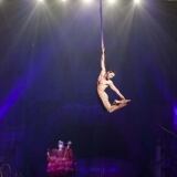 almon-y-super-golden-straps-en-the-hole-bg-683x1024