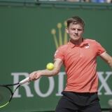 D Goffin d-goffin