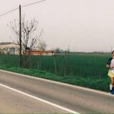 N 12512336-1053164144741383-8462451450718970013-n