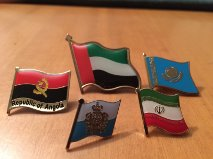 spilla con bandiera expo