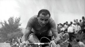 melbourne ercole baldini