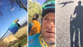 michele scarponi pappagallo frankie