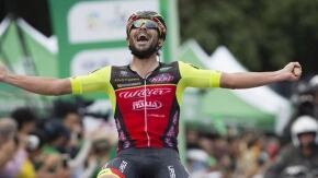 copertina mosca cina