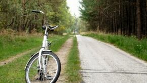 de hoge veluwe park x