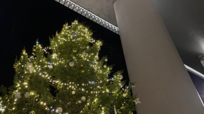 radura della memoria albero di natale