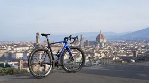 b becycle colnago fleur de lys