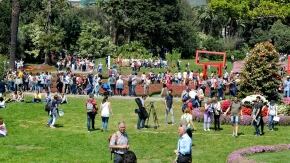 numeroso pubblico dom