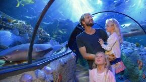 massimiliano rosolino a gardaland sea life aquarium ok