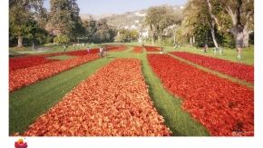 a cartellastampa bassa q