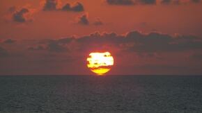 raddrizzata e compressa