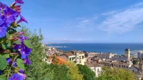 img hdr zon