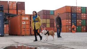 blanca maria chiara giannetta giuseppe zeno credits rai