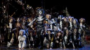 cats al london palladium x