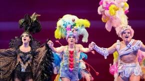 priscilla la regina del deserto il musical