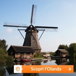 holland holland