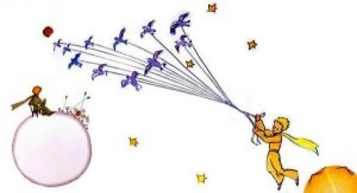 piccolo-principe-evid