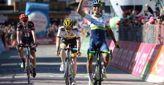 Zen Ansa X zen ansa x