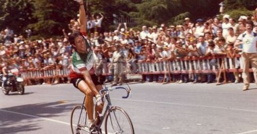 Moser moser