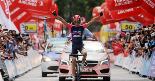 Niemec Vince niemec vince