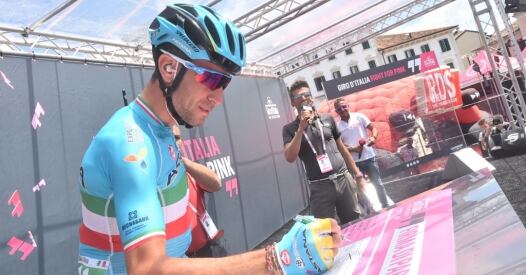 Nibali Firma X nibali firma x