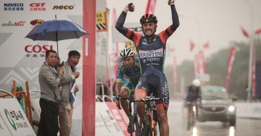 Colli China colli china