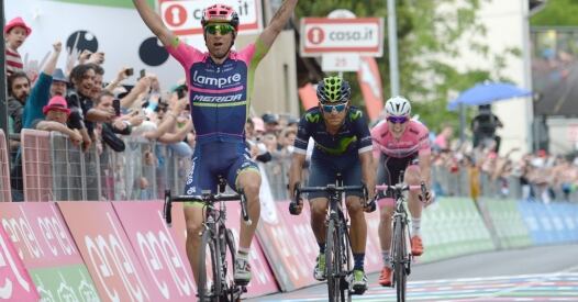 Zen Ansa X zen ansa x