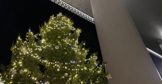Radura Della Memoria Albero Di Natale radura della memoria albero di natale