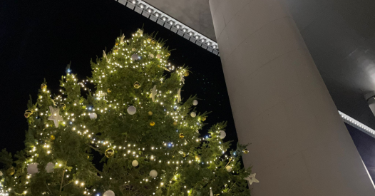 radura della memoria albero di natale