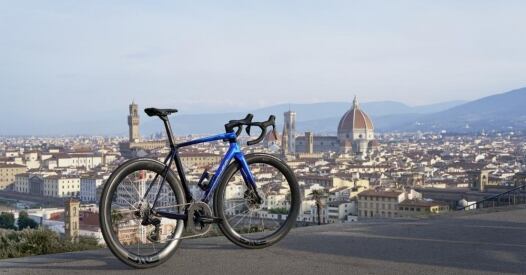 B Becycle Colnago Fleur De Lys b becycle colnago fleur de lys