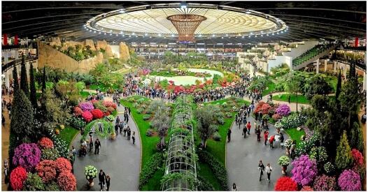 Genova Euroflora genova euroflora