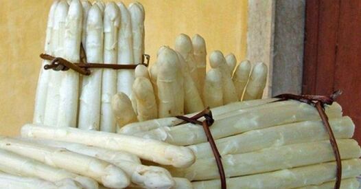 Asparagi Bianchi Terlano asparagi bianchi terlano