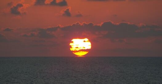 Raddrizzata E Compressa raddrizzata e compressa